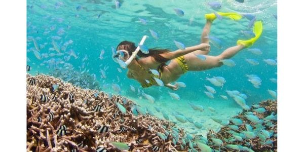 Trải nghiệm lặn biển tại Vườn Quốc gia Côn Đảo