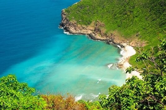 Tour Cano Côn Đảo Trải Nghiệm Sinh Thái: Khám Phá Hòn Bảy Cạnh & Xem Rùa Đẻ Trứng 2026
