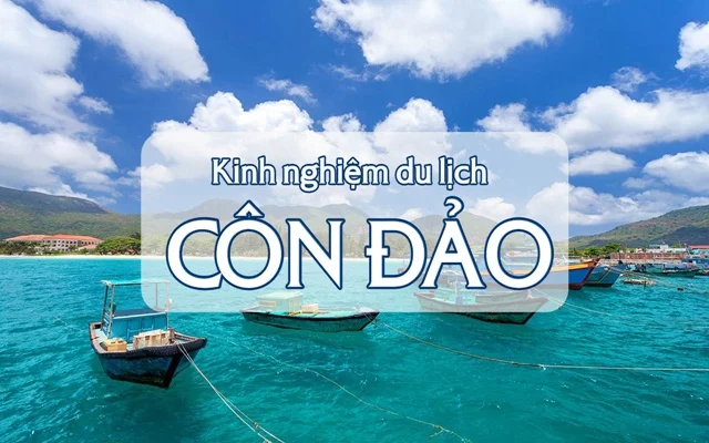 Kinh Nghiệm Đi Tour Thả Rùa Về Biển Côn Đảo Ý Nghĩa Nhất 2026