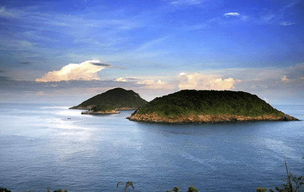 Tour Xem Rùa Đẻ Trứng Côn Đảo Ở Đâu? Giá Bao Nhiêu?