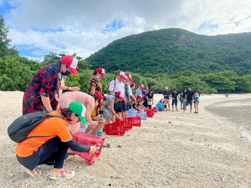 Tour Câu Cá Côn Đảo & Lặn San Hô Nửa Ngày: Trải Nghiệm Cực Đỉnh