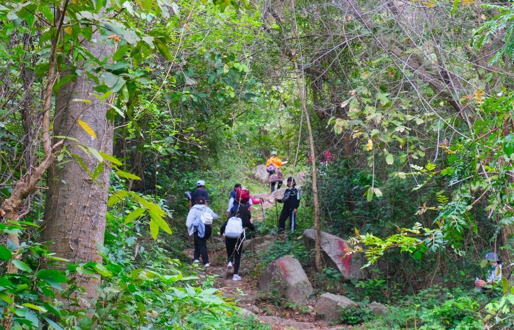 Trekking Vườn Quốc Gia Côn Đảo