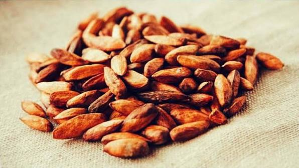 đặc sản Côn Đảo mứt hạt bàng