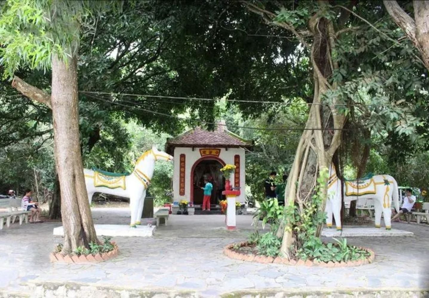 Miếu Cậu Côn Đảo: Cửa Ngõ Tâm Linh & Hành Trình Tín Ngưỡng Xanh